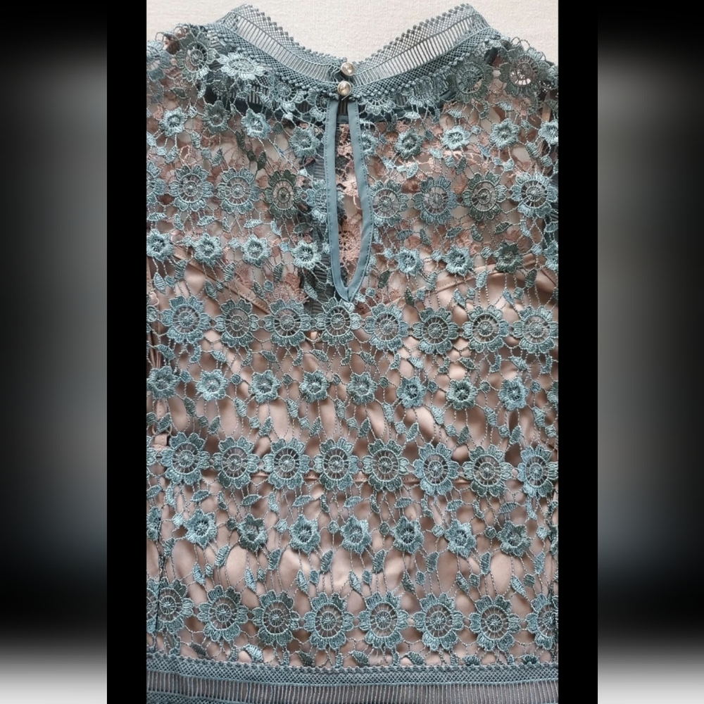 ASOS Curve Dress Plus Size 18 Embroidered Lace Soft Pink and Blue Dress A-Line - Picture 3 of 10